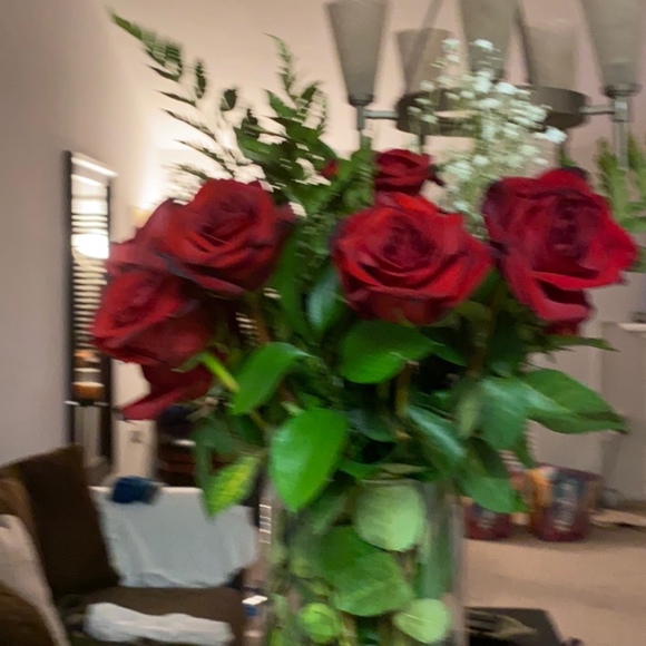 Meet your Posher, Posh - Picture 1 of 1